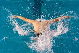 的场上表现 的场上表现