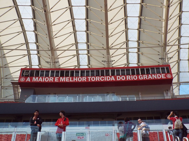 瑞士羽毛球 瑞士羽毛球