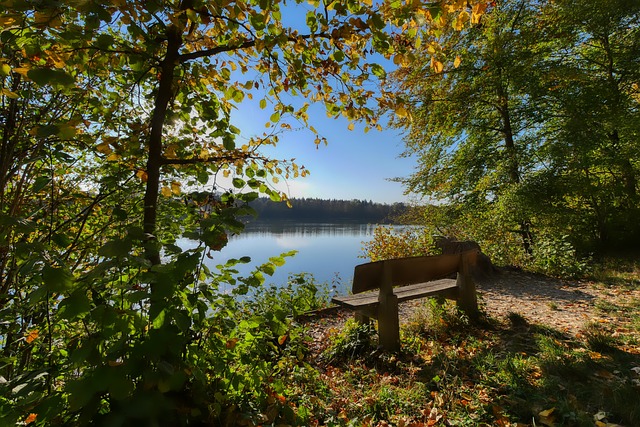 [亚冬会]速度滑冰男子5000米决赛.