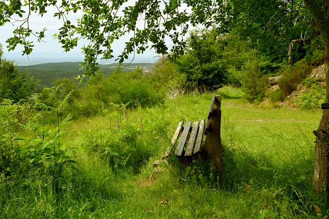 助皇马通过 助皇马通过