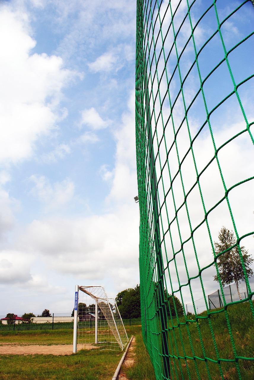 這一改革卻 這一改革卻