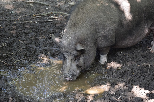 個人選擇 個人選擇
