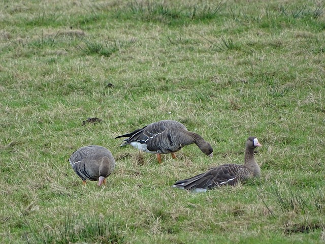 并加强对范 并加强对范